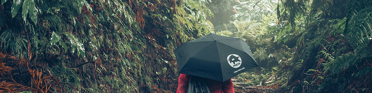 Image of a forest with a female hiker in a red jacket with a PREFA umbrella and gym bag, symbolises PREFA’s environmental protection and sustainability, as well as the closed-loop economy and recycling