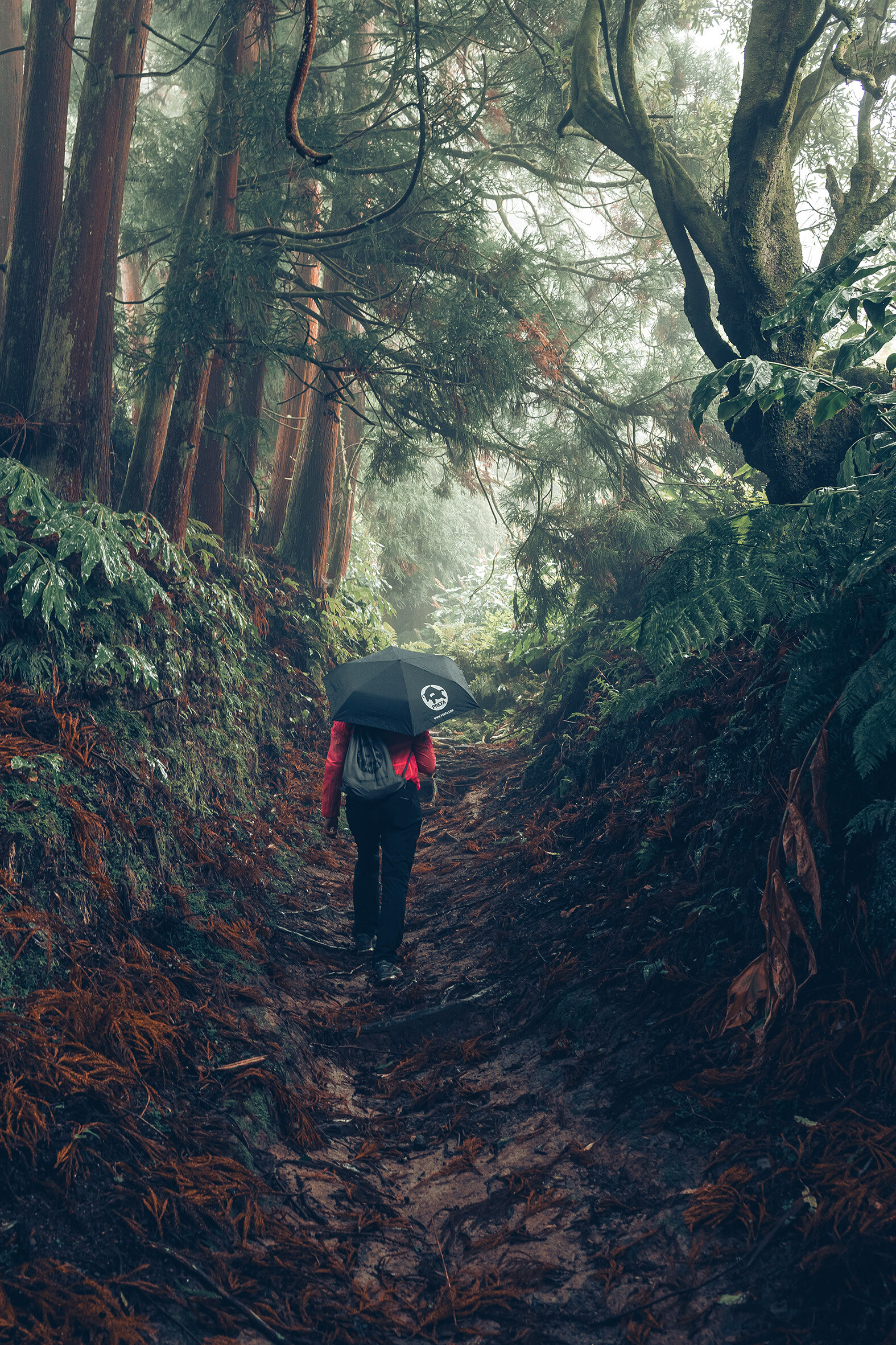 Image of a forest with a female hiker in a red jacket with a PREFA umbrella and gym bag, symbolises PREFA’s environmental protection and sustainability, as well as the closed-loop economy and recycling